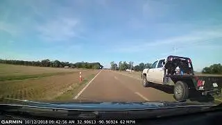 Dog on flatbed