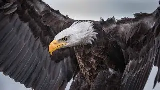 Epic Hip Hop Instrumental | Hard Choir Rap/Trap Beat 2019 (prod. by Markezi Producer)