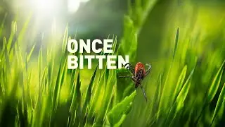 Lyme Disease