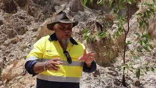 Cultural Heritage Officer and archaeologist activity