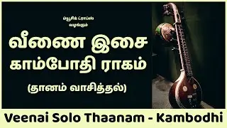 வீணை இசை காம்போதி ராகம் (தானம் வாசித்தல்) | Veenai Solo Thaanam - Kambodhi | Music Drops
