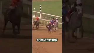How this underdog Became the FASTEST Horse Ever! 🔥| #sports #shorts