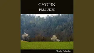 Preludes, Op. 28: No. 16 in B-Flat Minor, Presto con fuoco
