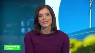 Bloomberg Green  Making Finance Sustainable