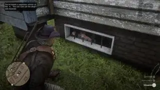 Red Dead Redemption 2 Rescue Guy Kidnapped By Gunsmith In Rhodes