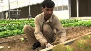 Visit an organic farm in Abu Dhabi