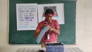 Eco Friendly Tomato Container # Inspire Science Project # Anwesh Bhoi