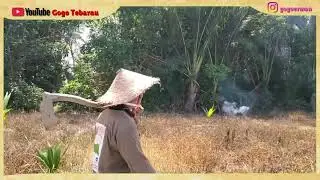 Komedi Lucu H Gogo, Pak Usu, Maulidi Mosenli dan Kawan2 #shorts #fyp #viral #komedi #maulidi #gogo