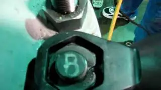 Nutsplitter in action