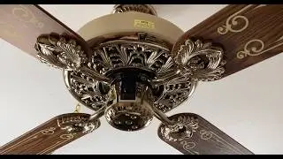 Ceiling Fans In My House 1/2026
