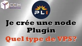 Cr&eacute;ation d'une node Plugin - Quel type de VPS - Premi&egrave;re partie $PLI