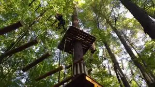 Skywood Eco Adventures