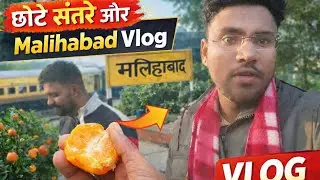 Malihabad ke Chote Santre ka Asli Taste 🍊 | Station Vlog