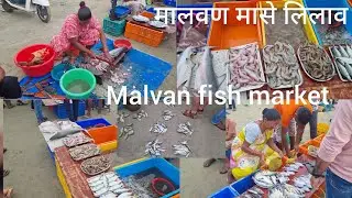 मालवण मासे लिलाव / Malvan fish market #trending #मालवणमासेलिलाव #sindhudurg #malvanbeach #malvanfish