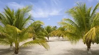 Roatan, Honduras