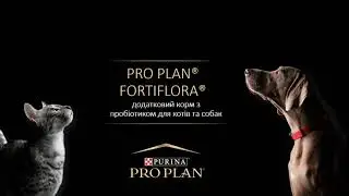 PRO PLAN&reg; FORTIFLORA&reg; Додатковий корм зпробіотиком для котів та собак