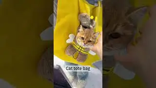 Convenient pet tote bag for adventures #petbackpack #catbag #pet