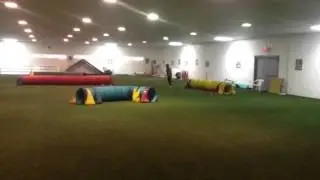 Nadac video trial