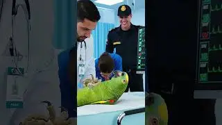 Loro entra en p&aacute;nico en urgencias y acusa al hospital 😂🦜 | ElloroLoco