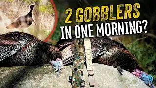 2 Gobblers Down Before Noon | Opening Day Turkey Hunting Chaos