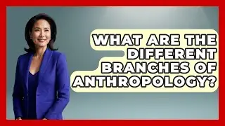 What Are the Different Branches of Anthropology? | Anthropology Insights