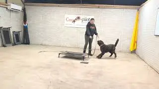 Lesson 2 Henry 