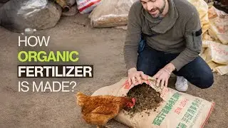 How Organic Fertilizer is Made