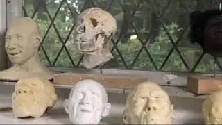 Cheddar Man: DNA shows early Briton had dark skin