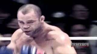 Wanderlei Silva vs Mark Hunt Highlights