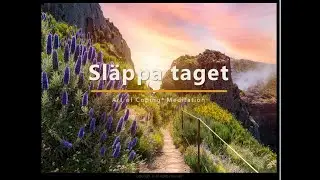 Sl&auml;ppa Taget | Art of Coping&reg; Meditation