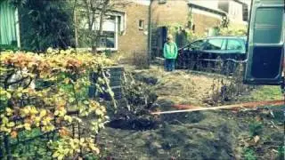 Taxus verwijderen