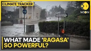 'Ragasa' Becomes 2025&rsquo;s Strongest Storm | WION CLIMATE TRACKER