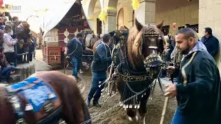 Recordant la 41a Edició dels Tres Tombs de Sant Antoni de Valls (Tomb de l’Ajuntament)
