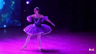 The Lilac Fairy variation_ from sleeping beauty ballet