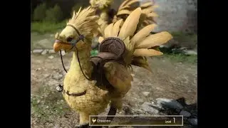 FF14 - Joined the Immortal Flames Grand Company and Finally Got a Chocobo Mount