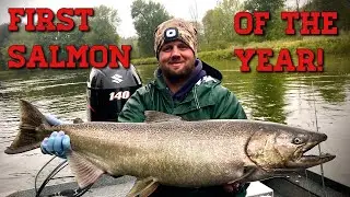 Skein Fishing Bobber Downs for BIG King Salmon!