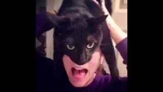 Catman (comics)