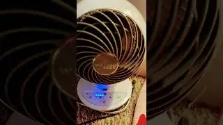 WOOZOO Compact Globe Oscillating Fan from Costco Wholesale in Fullerton