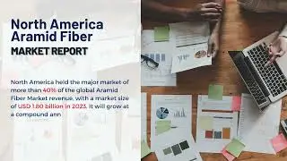 North America Aramid Fiber Market Report 2024