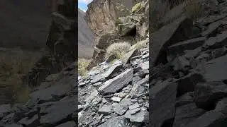 По скалам Алтая #life #emotions #lifestyle #travel #film #altai #cinematic #extreme #fpv #skate
