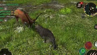 Did u watch Wolf Vs Bear 🦧 vs Dear 🦌 Vs Racoon 🦝 &hellip;.. This is Amazing Fight 😶&zwj;🌫️ #trending #viral 