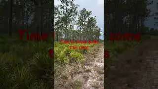 That Public Land grind, checking trail cams after work. #florida  #hunting  #publiclandhunt