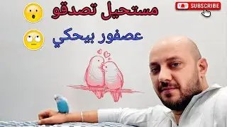 عضو جدید انضم لعائلتنا 😅 مين بتتوقعو يكون ؟