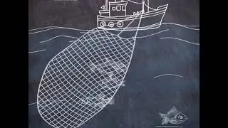 Fishing Become Easy with Yameen | Fresh from the sea | Fish App