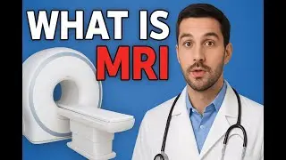 &ldquo;MRI vs CT Scan | Difference, Uses & Which is Better?&rdquo;