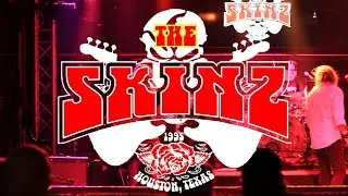 The Skinz 