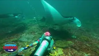 Viaje de buceo a BALI, Indonesia con el ENBAS