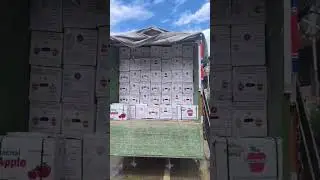 apple loading #foujiexpress #himachalpradesh #apple #truck #trickdriver #sahilthakur #trending