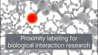 Proximity labeling: A revolutionary technique for studying biological interactions