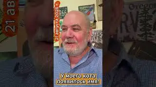 У моего кота появилось имя!